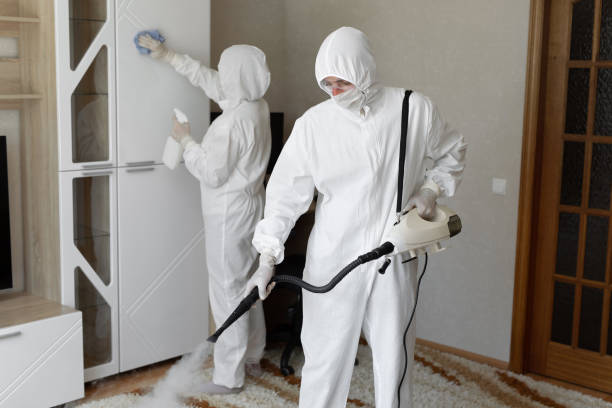 24/7 Emergency Odor Removal experts in Bedford, OH